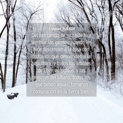 Picture 04 - Ezequiel 31:16 RVA - Del estruendo de su caída hice temblar las - Bible Verse Picture