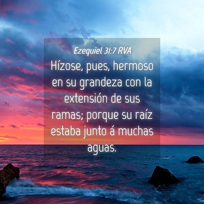 Picture 04 - Ezequiel 31:7 RVA - Hízose, pues, hermoso en su grandeza con la - Bible Verse Picture