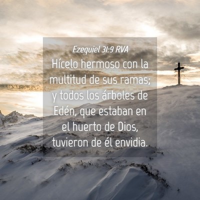 Picture 04 - Ezequiel 31:9 RVA - Hícelo hermoso con la multitud de sus ramas; y - Bible Verse Picture