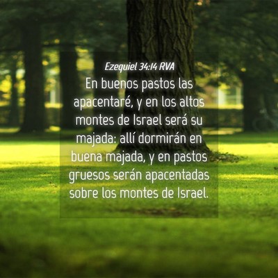 Picture 04 - Ezequiel 34:14 RVA - En buenos pastos las apacentaré, y en los altos - Bible Verse Picture