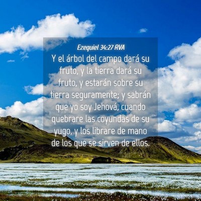 Picture 04 - Ezequiel 34:27 RVA - Y el árbol del campo dará su fruto, y la tierra - Bible Verse Picture