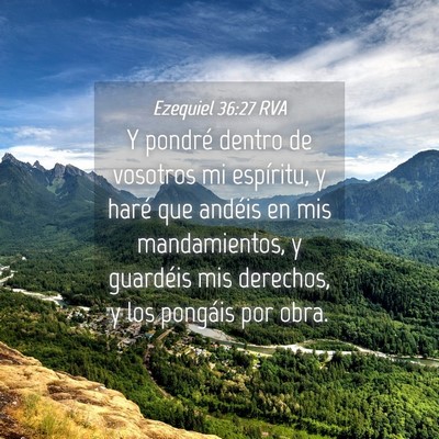 Picture 04 - Ezequiel 36:27 RVA - Y pondré dentro de vosotros mi espíritu, y - Bible Verse Picture