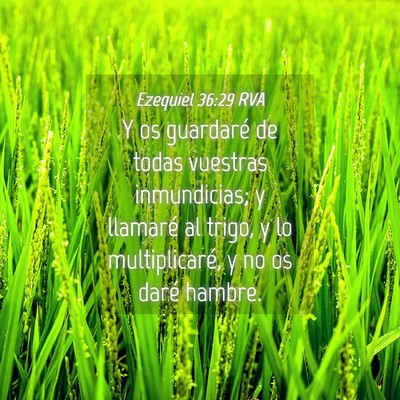 Picture 04 - Ezequiel 36:29 RVA - Y os guardaré de todas vuestras inmundicias; y - Bible Verse Picture