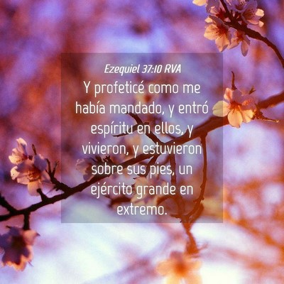 Picture 04 - Ezequiel 37:10 RVA - Y profeticé como me había mandado, y entró - Bible Verse Picture