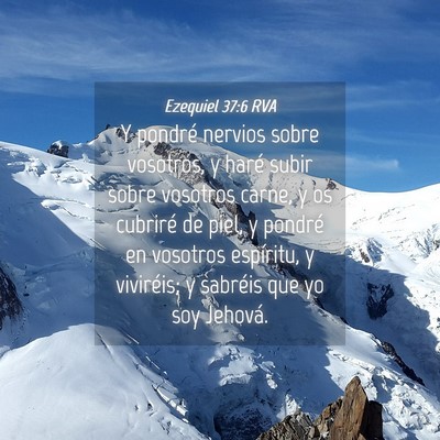 Picture 04 - Ezequiel 37:6 RVA - Y pondré nervios sobre vosotros, y haré subir - Bible Verse Picture