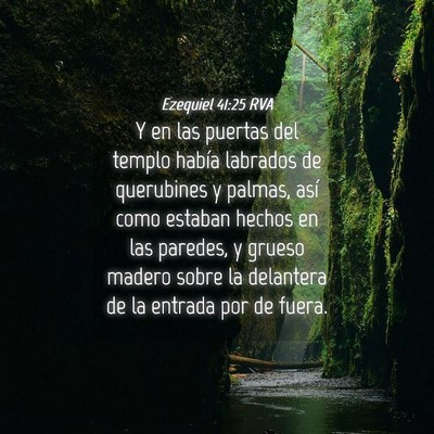 Picture 04 - Ezequiel 41:25 RVA - Y en las puertas del templo había labrados de - Bible Verse Picture