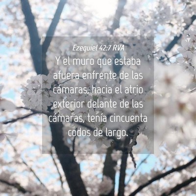 Picture 04 - Ezequiel 42:7 RVA - Y el muro que estaba afuera enfrente de las - Bible Verse Picture