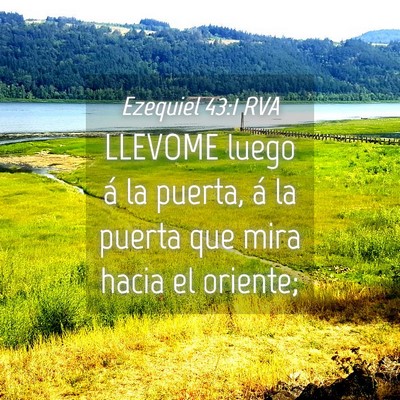 Picture 04 - Ezequiel 43:1 RVA - LLEVOME luego á la puerta, á la puerta que mira - Bible Verse Picture