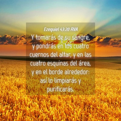 Picture 04 - Ezequiel 43:20 RVA - Y tomarás de su sangre, y pondrás en los cuatro - Bible Verse Picture
