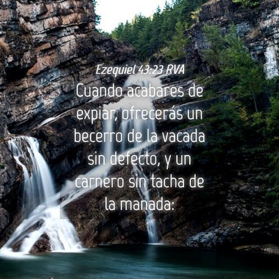 Picture 04 - Ezequiel 43:23 RVA - Cuando acabares de expiar, ofrecerás un becerro - Bible Verse Picture
