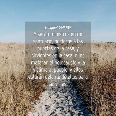 Picture 04 - Ezequiel 44:11 RVA - Y serán ministros en mi santuario, porteros á - Bible Verse Picture