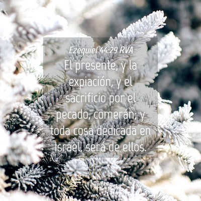 Picture 04 - Ezequiel 44:29 RVA - El presente, y la expiación, y el sacrificio por - Bible Verse Picture