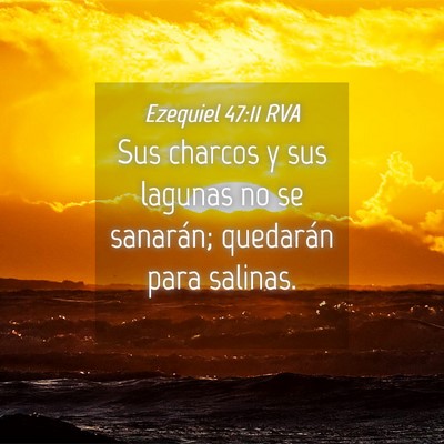 Picture 04 - Ezequiel 47:11 RVA - Sus charcos y sus lagunas no se sanarán; - Bible Verse Picture