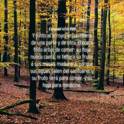 Picture 04 - Ezequiel 47:12 RVA - Y junto al arroyo, en su ribera de una parte y de - Bible Verse Picture