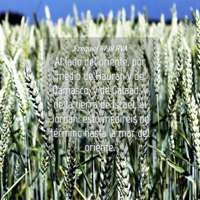 Picture 04 - Ezequiel 47:18 RVA - Al lado del oriente, por medio de Hauran y de - Bible Verse Picture