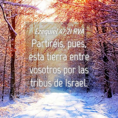 Picture 04 - Ezequiel 47:21 RVA - Partiréis, pues, esta tierra entre vosotros por - Bible Verse Picture