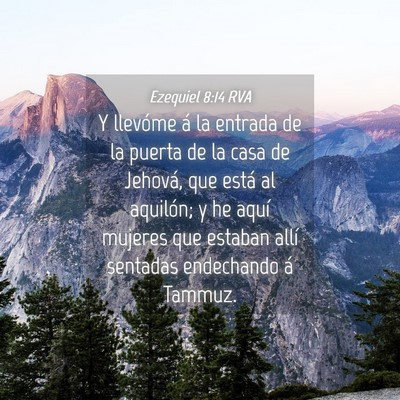 Picture 04 - Ezequiel 8:14 RVA - Y llevóme á la entrada de la puerta de la casa - Bible Verse Picture