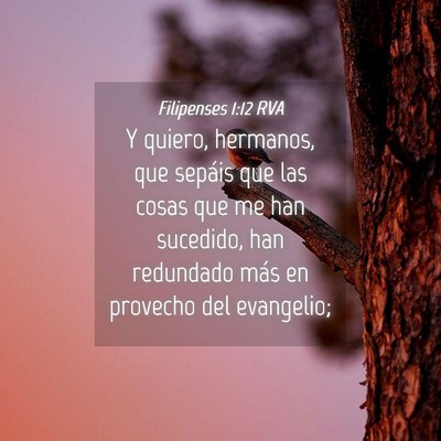 Picture 04 - Filipenses 1:12 RVA - Y quiero, hermanos, que sepáis que las cosas que - Bible Verse Picture