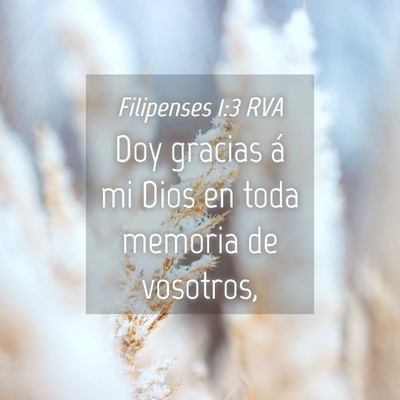Picture 04 - Filipenses 1:3 RVA - Doy gracias á mi Dios en toda memoria de - Bible Verse Picture