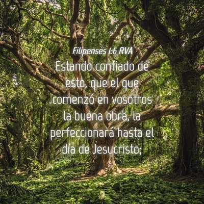 Picture 04 - Filipenses 1:6 RVA - Estando confiado de esto, que el que comenzó en - Bible Verse Picture