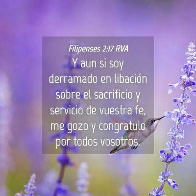 Picture 04 - Filipenses 2:17 RVA - Y aun si soy derramado en libación sobre el - Bible Verse Picture