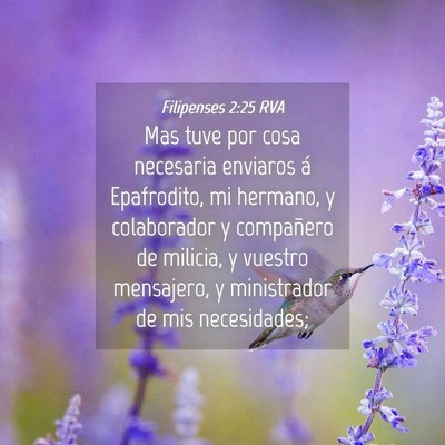 Picture 04 - Filipenses 2:25 RVA - Mas tuve por cosa necesaria enviaros á - Bible Verse Picture
