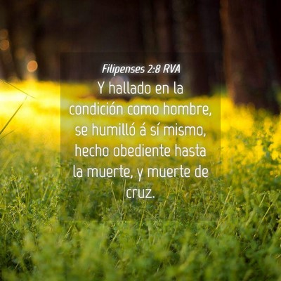 Picture 04 - Filipenses 2:8 RVA - Y hallado en la condición como hombre, se - Bible Verse Picture