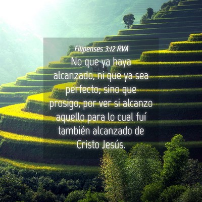 Picture 04 - Filipenses 3:12 RVA - No que ya haya alcanzado, ni que ya sea perfecto; - Bible Verse Picture