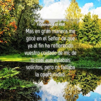 Picture 04 - Filipenses 4:10 RVA - Mas en gran manera me gocé en el Señor de que - Bible Verse Picture