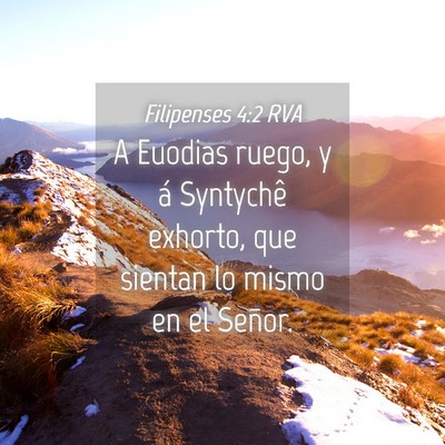 Picture 04 - Filipenses 4:2 RVA - A Euodias ruego, y á Syntychê exhorto, que - Bible Verse Picture