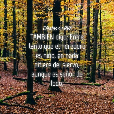Picture 04 - Gálatas 4:1 RVA - TAMBIÉN digo: Entre tanto que el heredero es - Bible Verse Picture