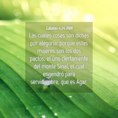 Picture 04 - Gálatas 4:24 RVA - Las cuales cosas son dichas por alegoría: porque - Bible Verse Picture