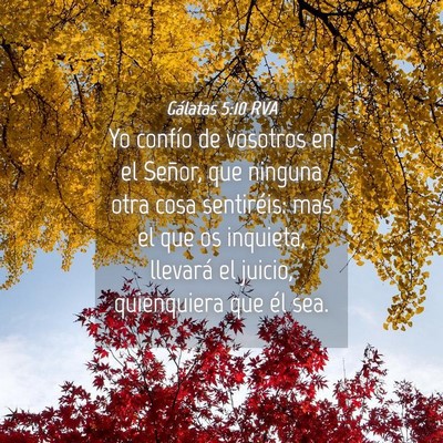 Picture 04 - Gálatas 5:10 RVA - Yo confío de vosotros en el Señor, que ninguna - Bible Verse Picture