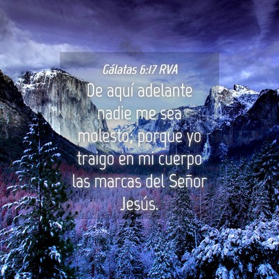 Picture 04 - Gálatas 6:17 RVA - De aquí adelante nadie me sea molesto; porque yo - Bible Verse Picture