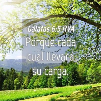 Picture 04 - Gálatas 6:5 RVA - Porque cada cual llevará su - Bible Verse Picture