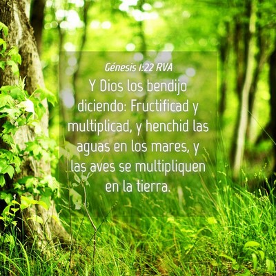 Picture 04 - Génesis 1:22 RVA - Y Dios los bendijo diciendo: Fructificad y - Bible Verse Picture