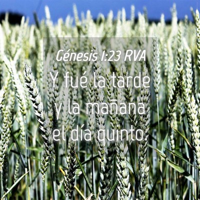 Picture 04 - Génesis 1:23 RVA - Y fué la tarde y la mañana el día - Bible Verse Picture
