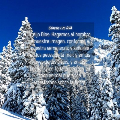 Picture 04 - Génesis 1:26 RVA - Y dijo Dios: Hagamos al hombre á nuestra imagen, - Bible Verse Picture
