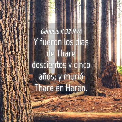 Picture 04 - Génesis 11:32 RVA - Y fueron los días de Thare doscientos y cinco - Bible Verse Picture