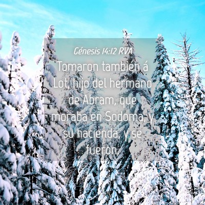 Picture 04 - Génesis 14:12 RVA - Tomaron también á Lot, hijo del hermano de - Bible Verse Picture