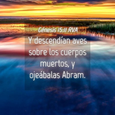 Picture 04 - Génesis 15:11 RVA - Y descendían aves sobre los cuerpos muertos, y - Bible Verse Picture