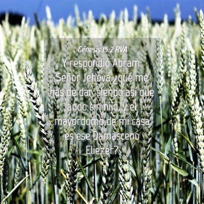 Picture 04 - Génesis 15:2 RVA - Y respondió Abram: Señor Jehová ¿qué me has - Bible Verse Picture