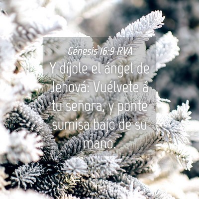 Picture 04 - Génesis 16:9 RVA - Y díjole el ángel de Jehová: Vuélvete á tu - Bible Verse Picture