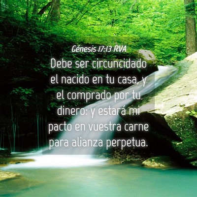 Picture 04 - Génesis 17:13 RVA - Debe ser circuncidado el nacido en tu casa, y el - Bible Verse Picture