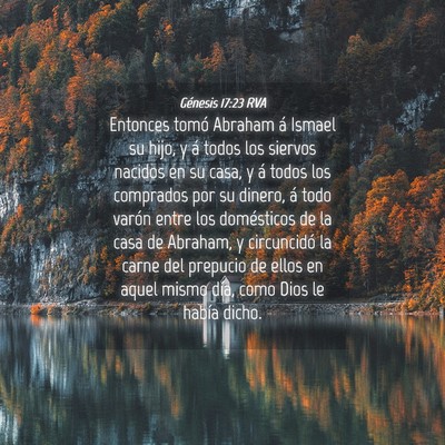 Picture 04 - Génesis 17:23 RVA - Entonces tomó Abraham á Ismael su hijo, y á - Bible Verse Picture