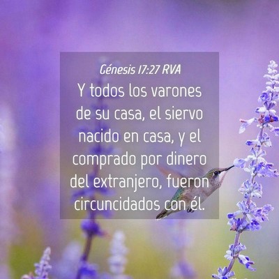 Picture 04 - Génesis 17:27 RVA - Y todos los varones de su casa, el siervo nacido - Bible Verse Picture