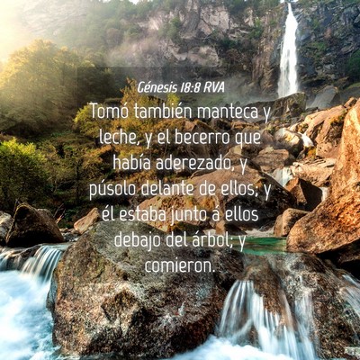 Picture 04 - Génesis 18:8 RVA - Tomó también manteca y leche, y el becerro que - Bible Verse Picture