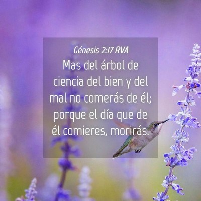 Picture 04 - Génesis 2:17 RVA - Mas del árbol de ciencia del bien y del mal no - Bible Verse Picture