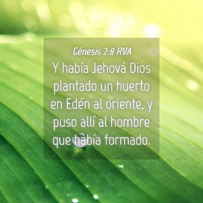 Picture 04 - Génesis 2:8 RVA - Y había Jehová Dios plantado un huerto en Edén - Bible Verse Picture