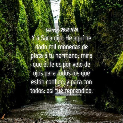 Picture 04 - Génesis 20:16 RVA - Y á Sara dijo: He aquí he dado mil monedas de - Bible Verse Picture